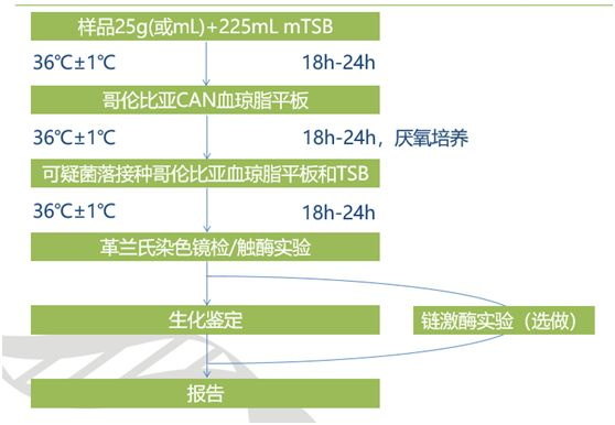 溶血性鏈球菌檢驗(yàn)流程